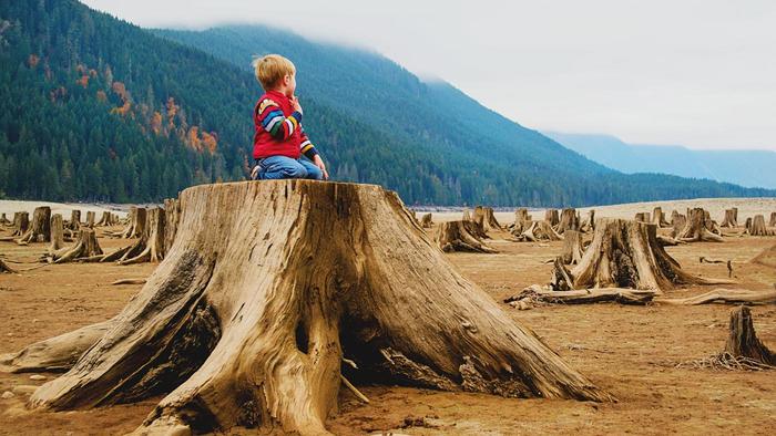 boy sitting on tree stump